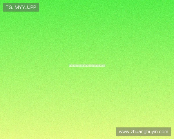 《美国之声》第三季：震撼心灵的歌声，点燃梦想的舞台